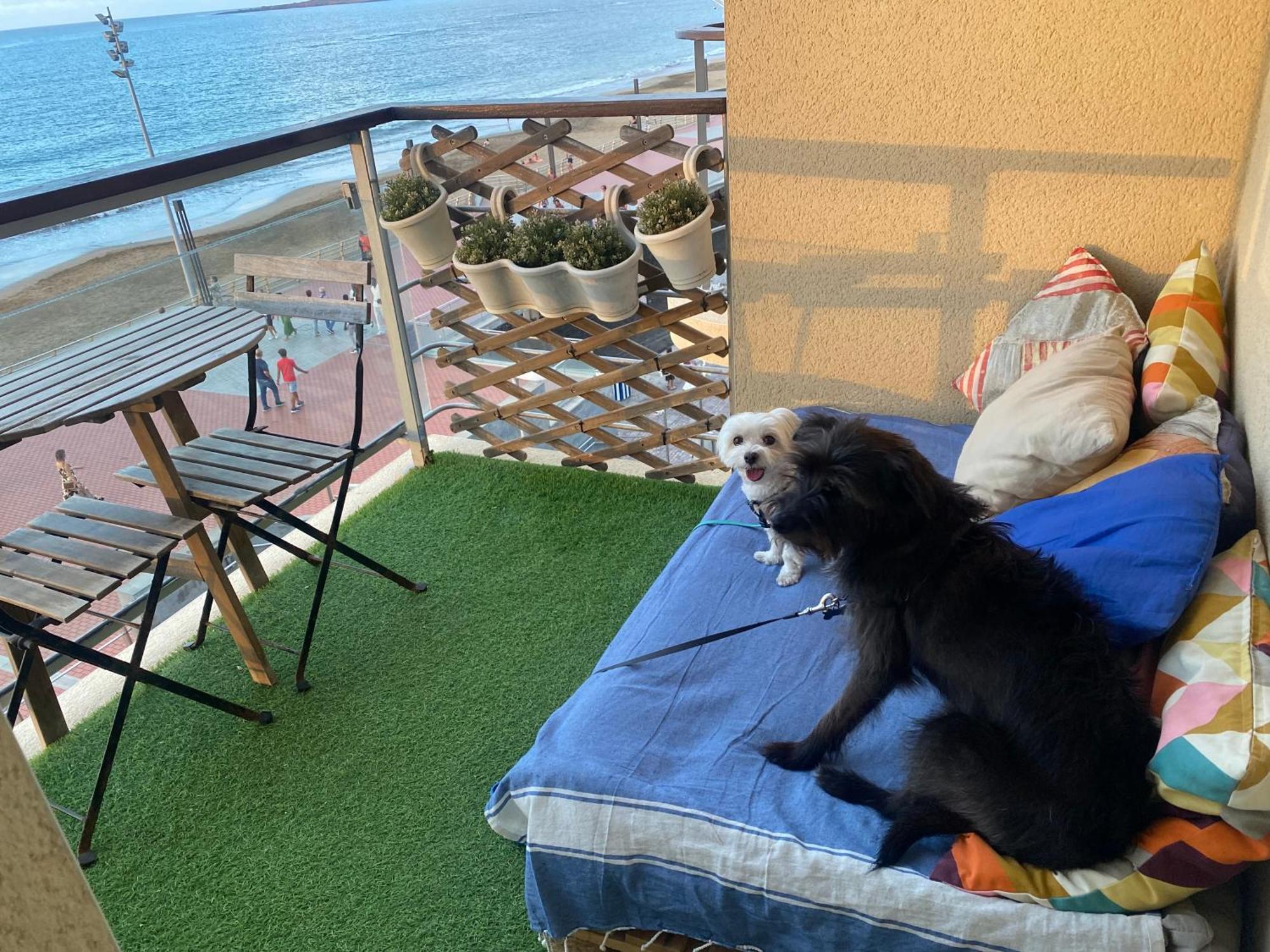 Mar Y Playa De Martin, 2B Appartement Las Palmas Buitenkant foto